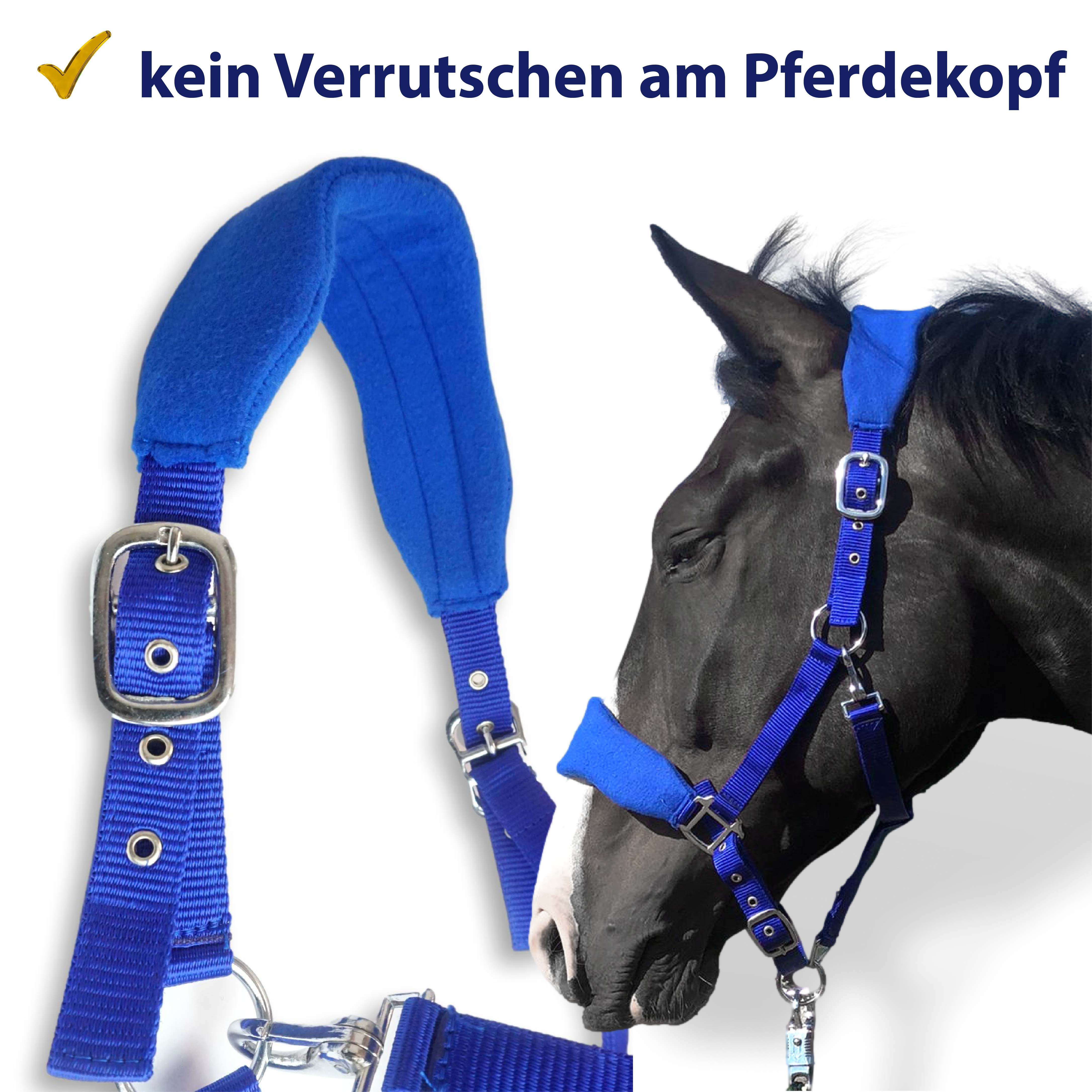 Halfter für Pferde mit Fleece